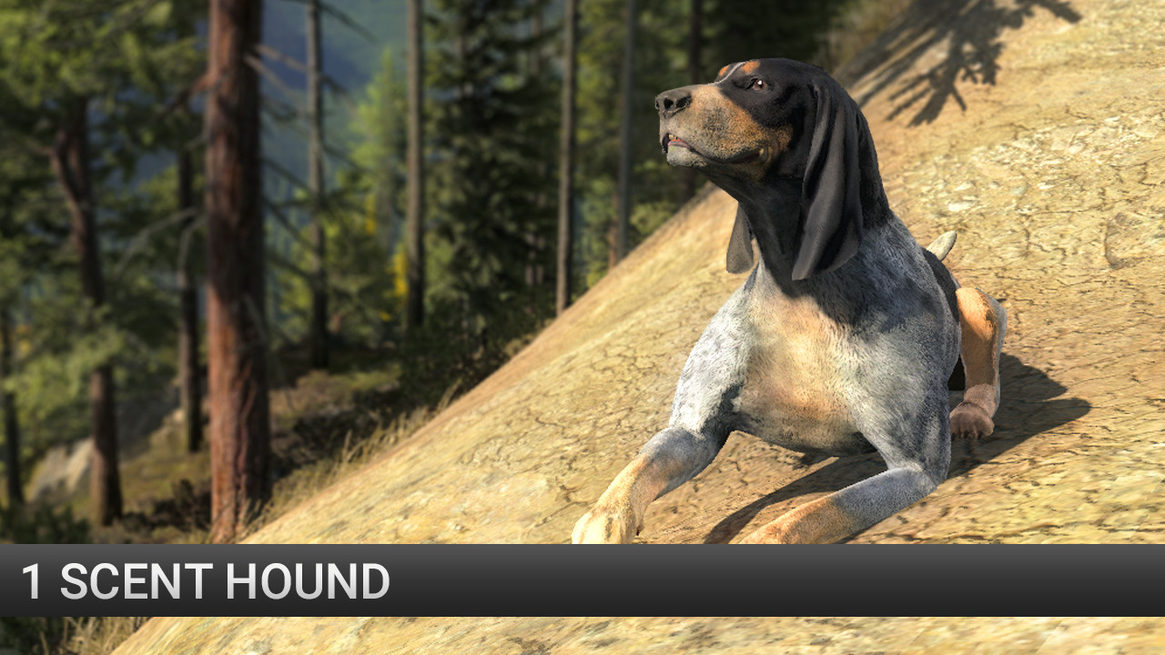 theHunter: Scent Hound Pack screenshot 2