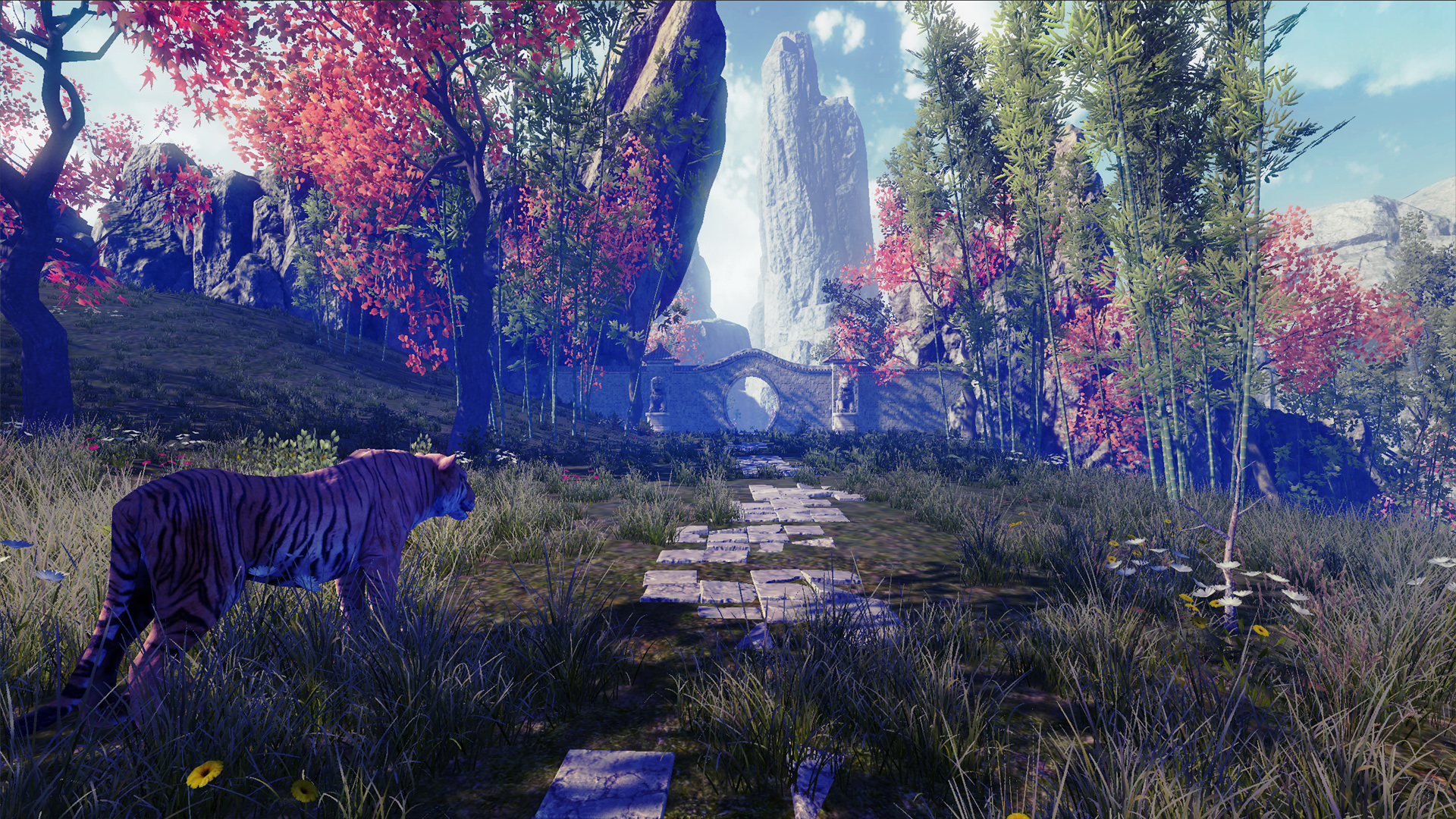 Nature Treks VR screenshot 9