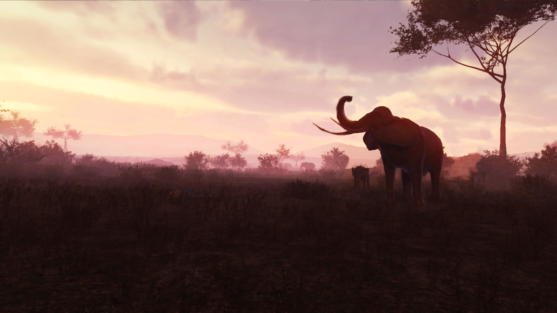Nature Treks VR screenshot 7
