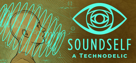 The VR Voice Experience