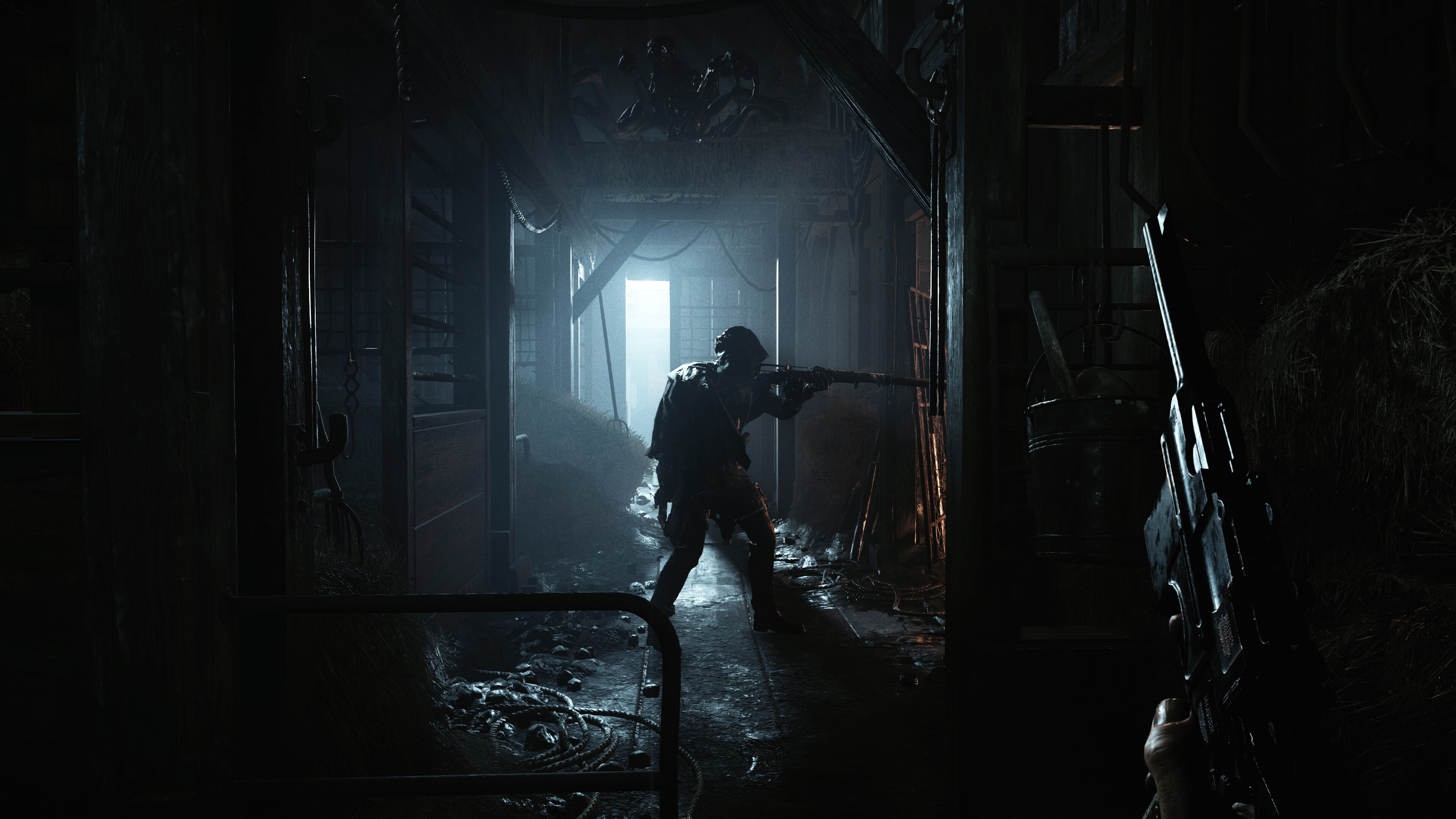 Hunt: Showdown 1896 screenshot 10