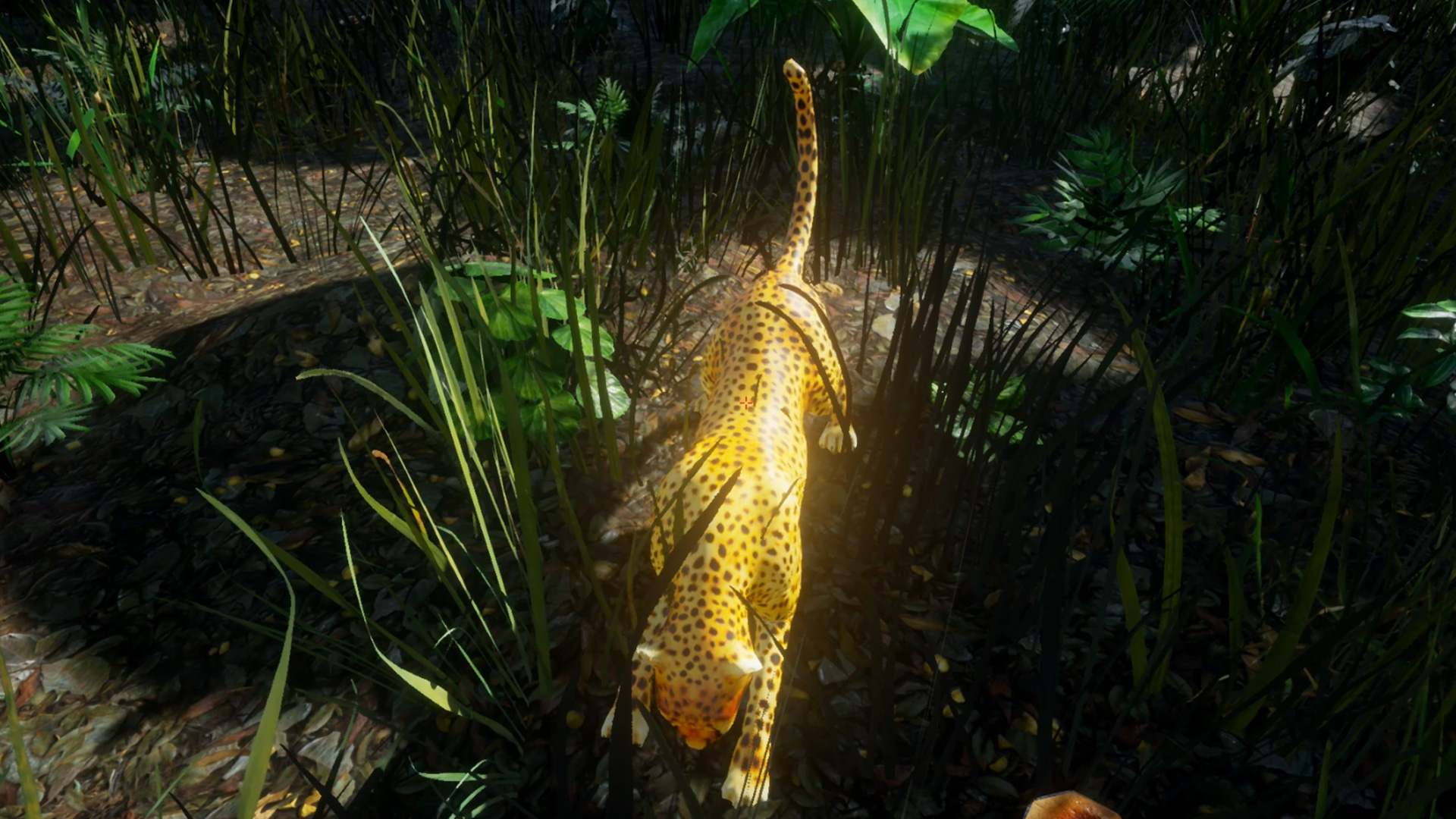 Star Hunter VR screenshot 5
