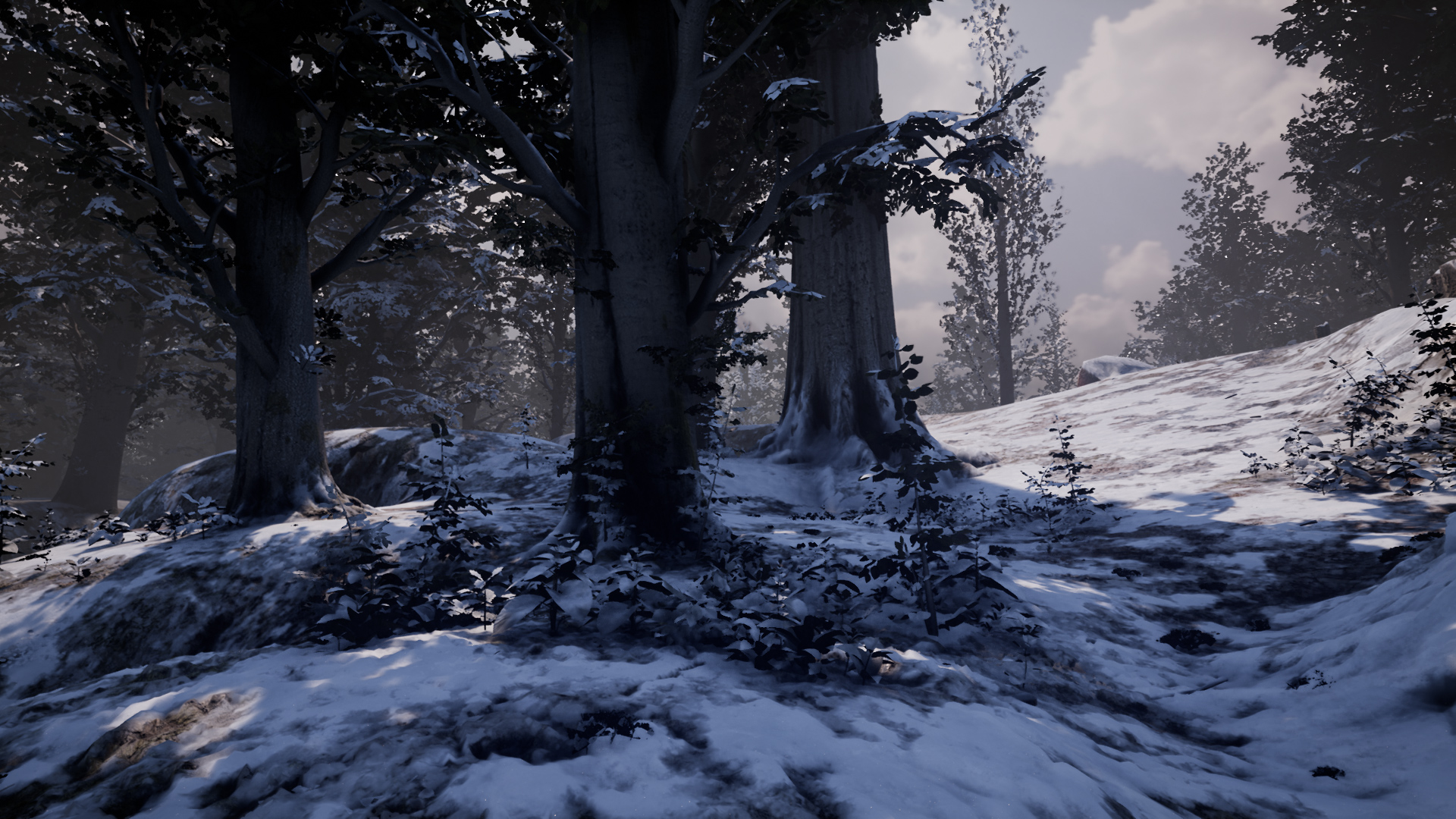 Nephise screenshot 9