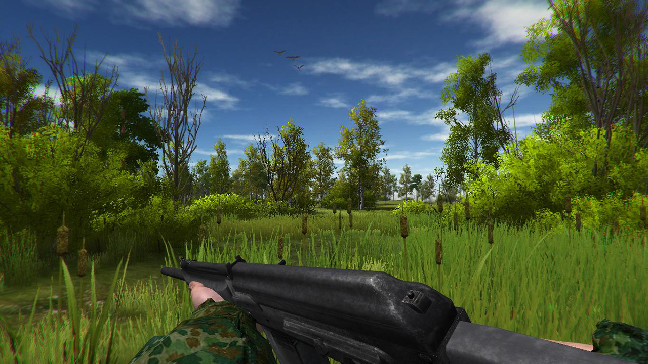 Duck Hunting screenshot 6