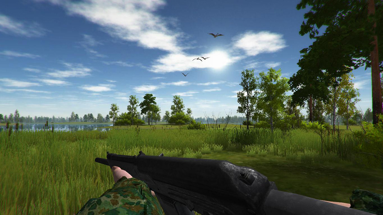 Duck Hunting screenshot 5