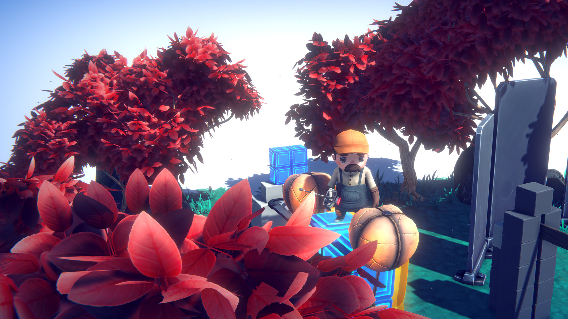 Cefore screenshot 5