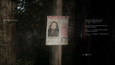 Screenshot 22