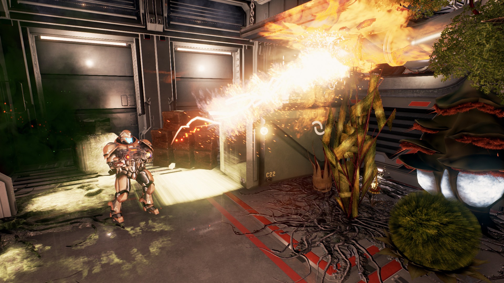 Murnatan screenshot 4