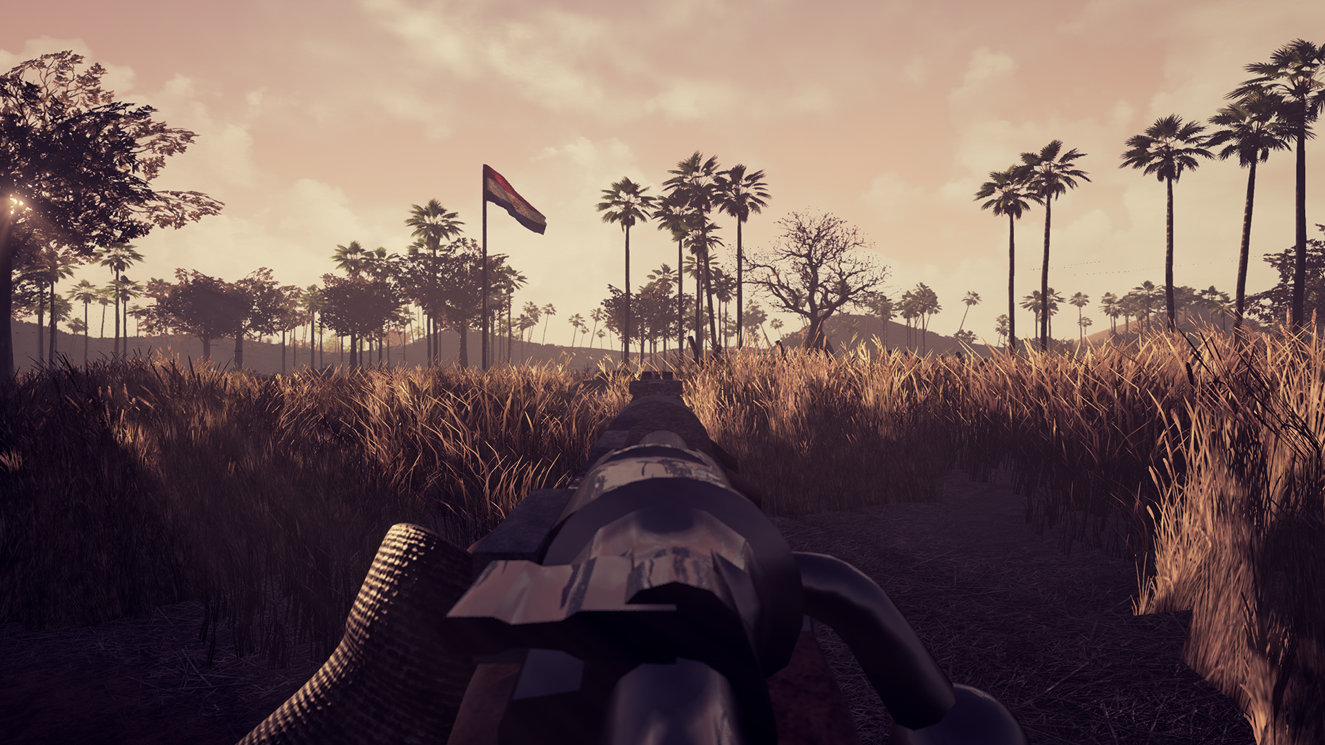 CW: Chaco War screenshot 5