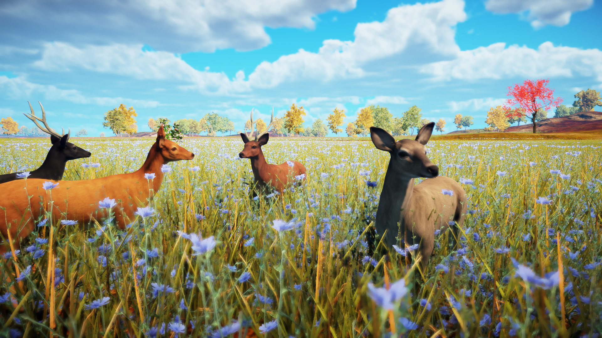 Animallica screenshot 11