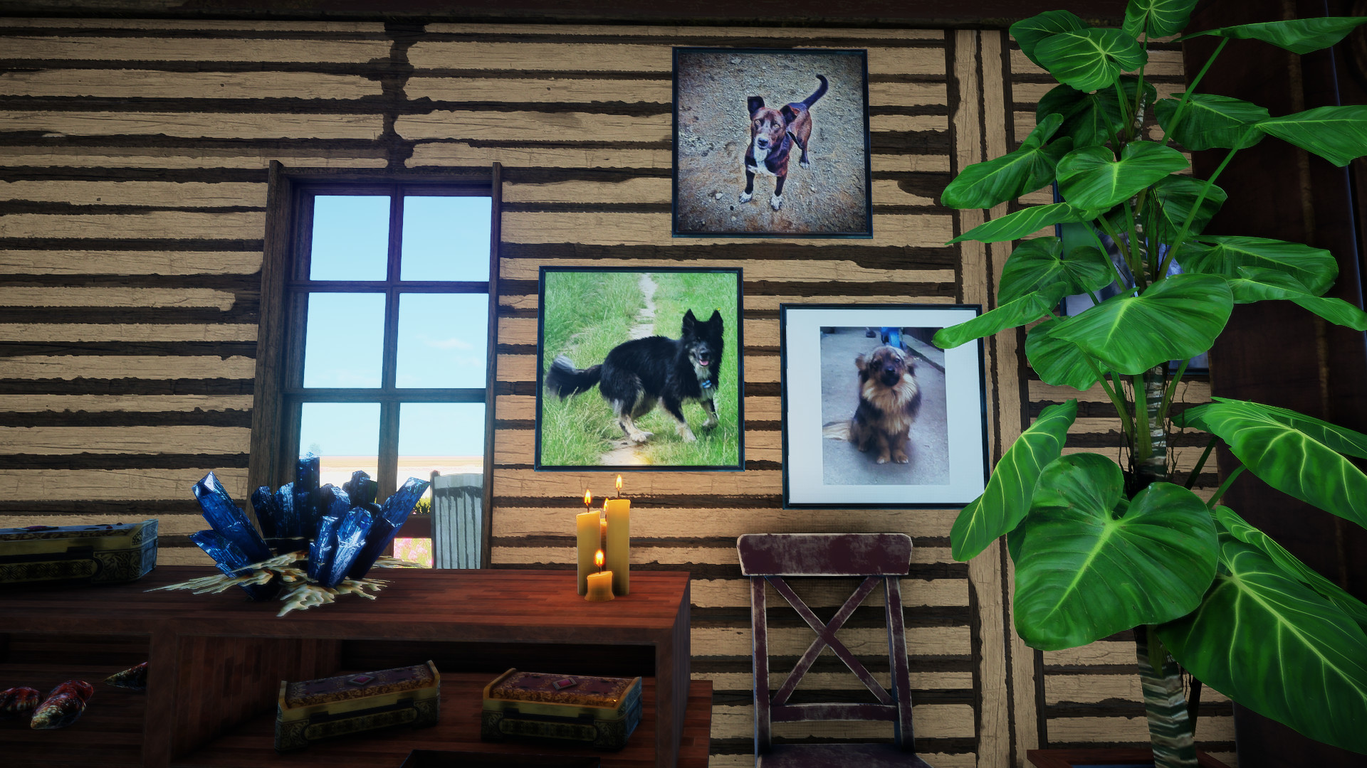 Animallica screenshot 25