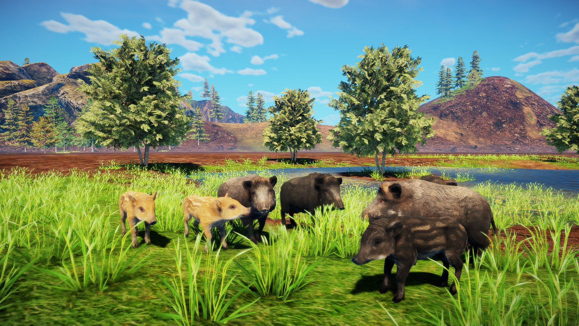 Animallica screenshot 13