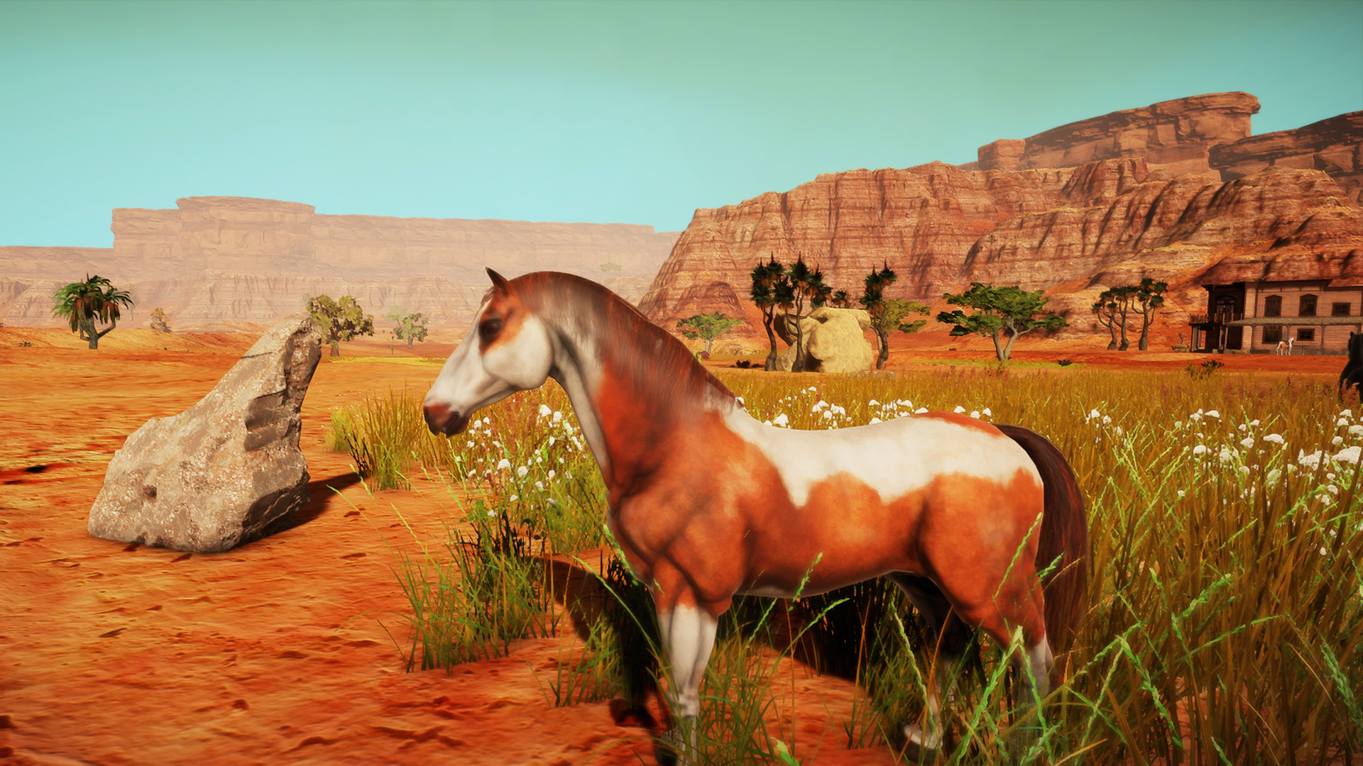 Animallica screenshot 37