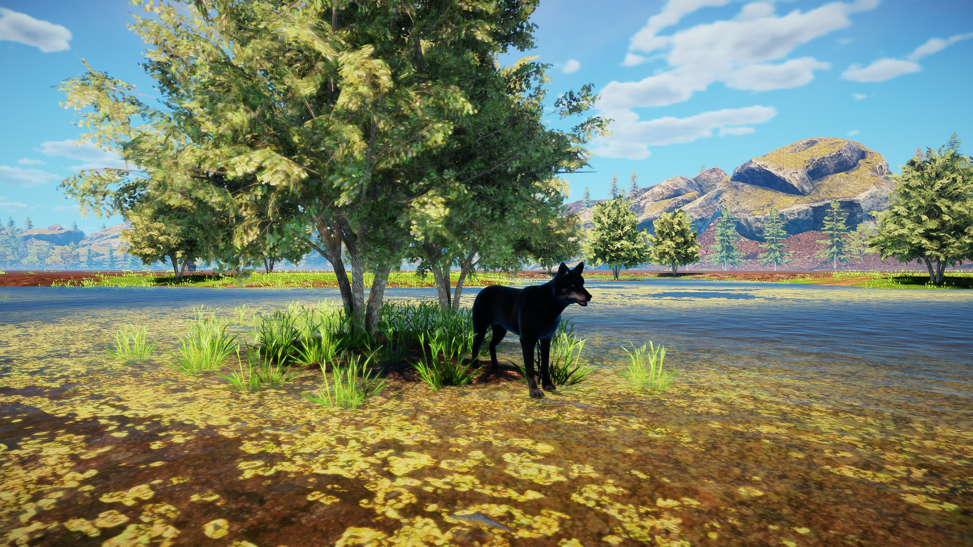 Animallica screenshot 50