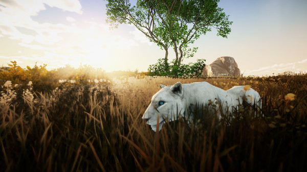 Animallica screenshot