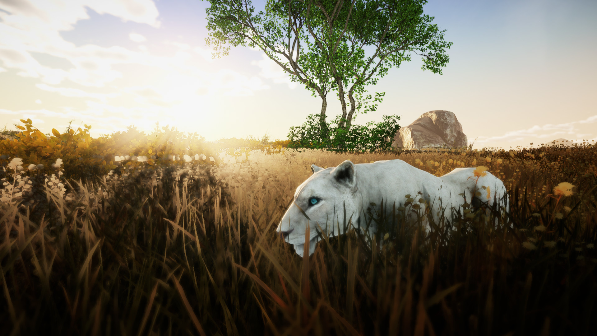 Animallica screenshot 8