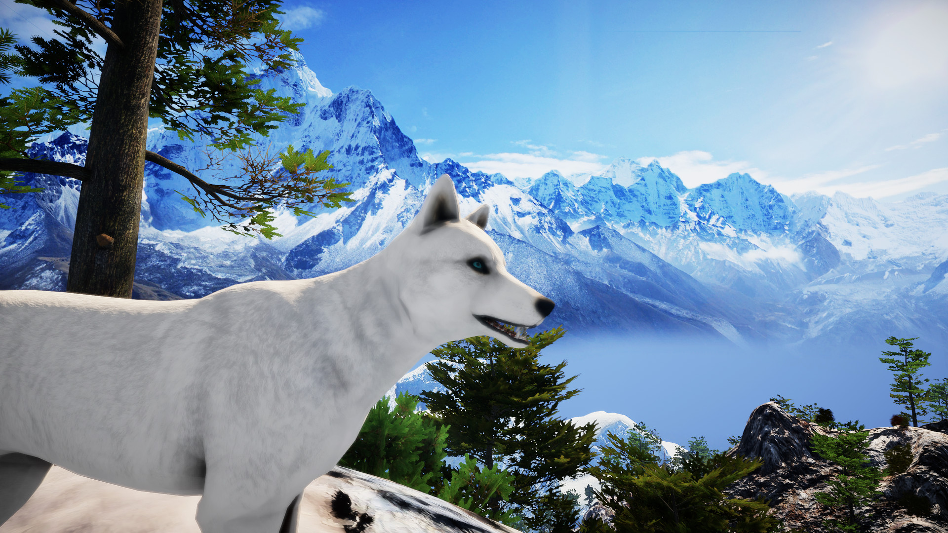 Animallica screenshot 14