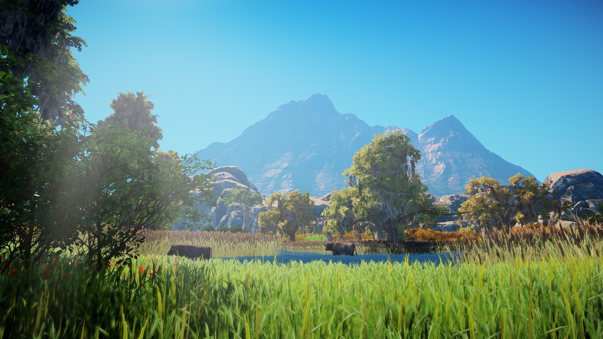Animallica screenshot 24