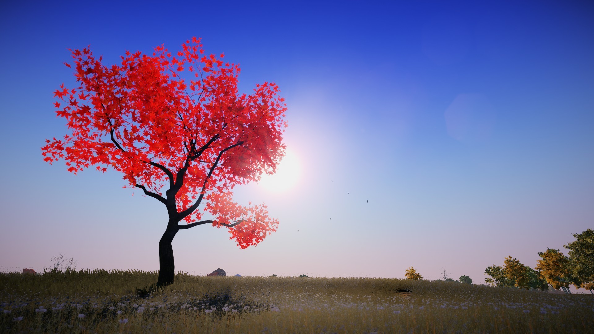 Animallica screenshot 17