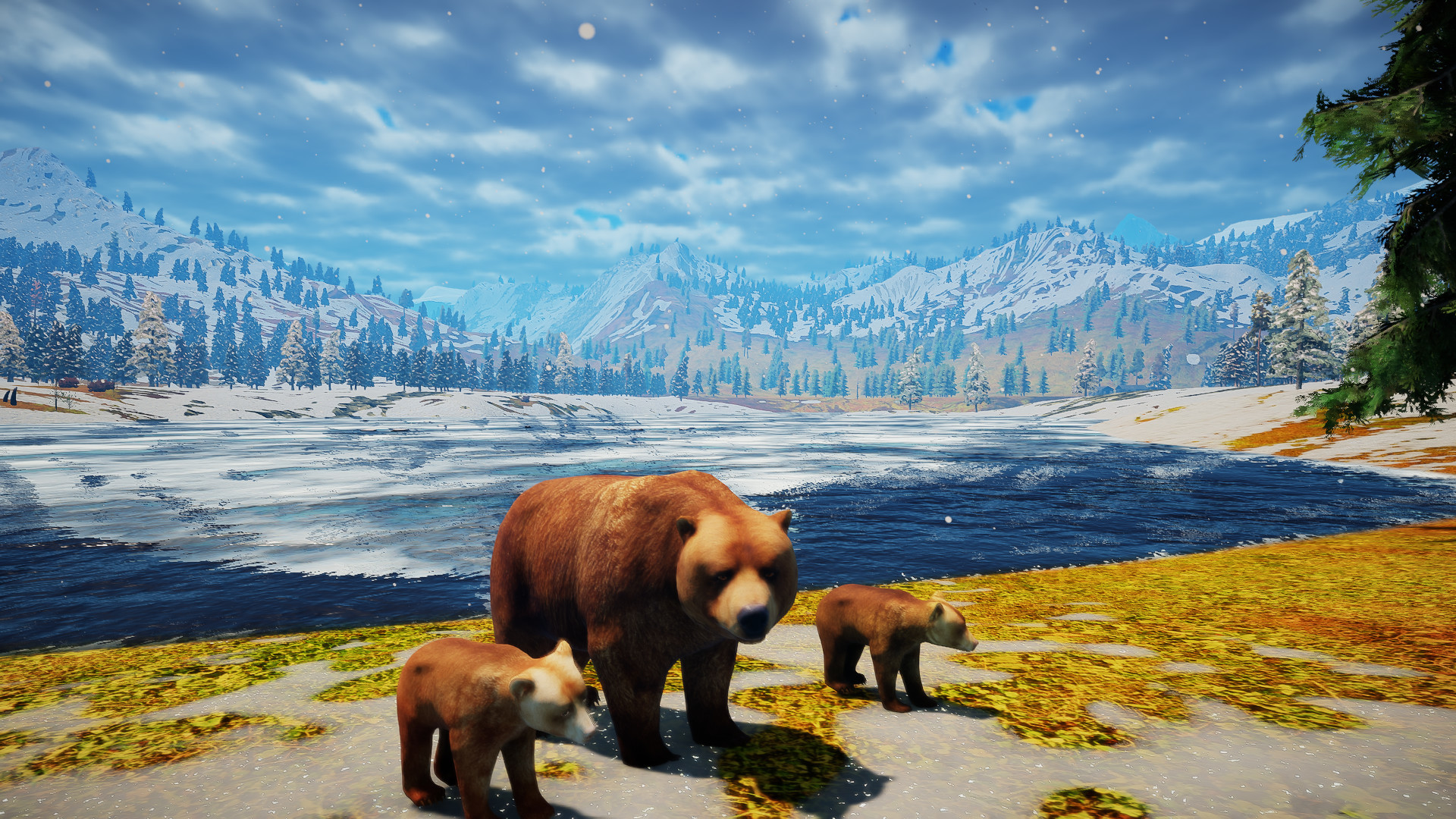 Animallica screenshot 40