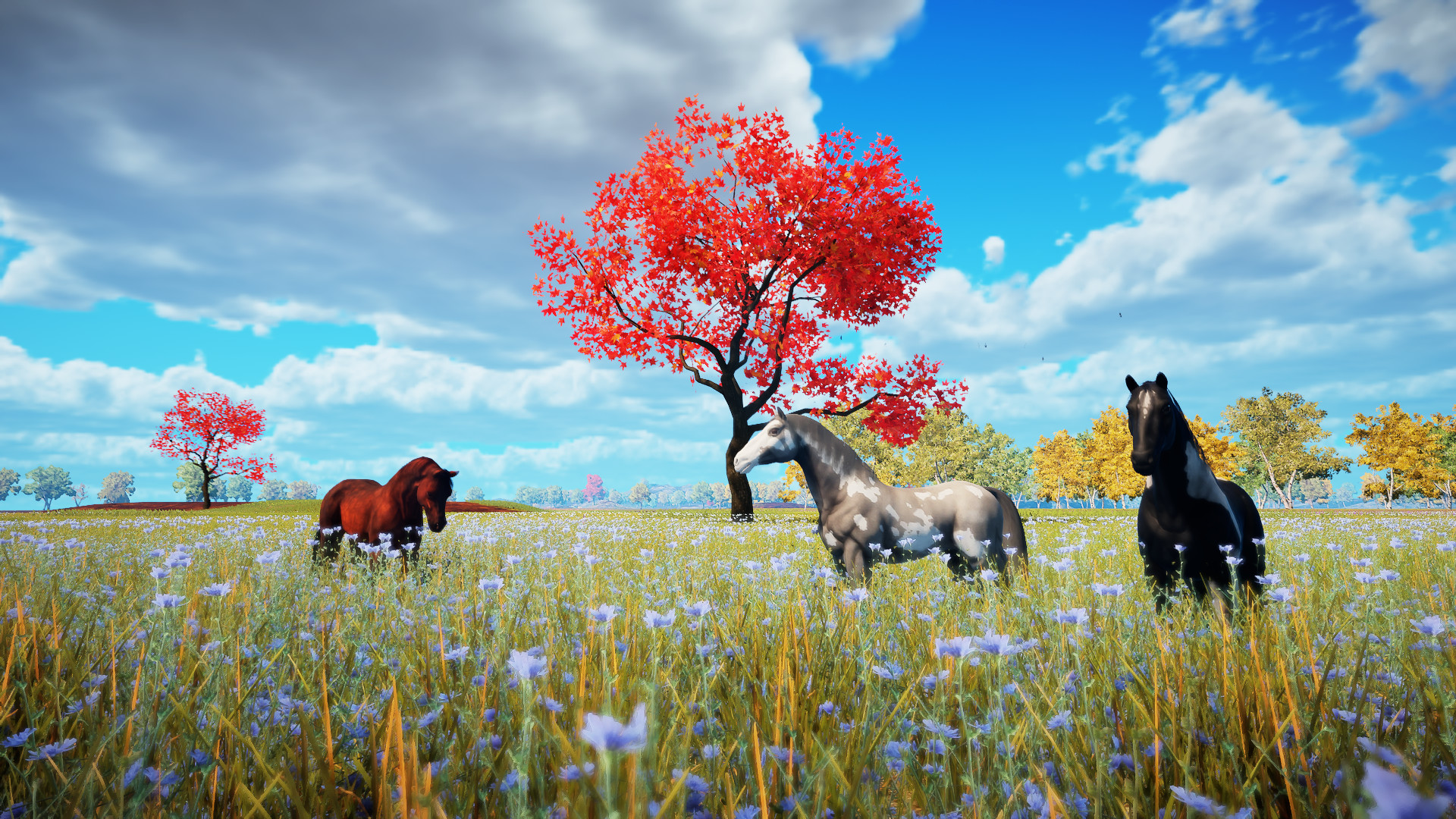 Animallica screenshot 60