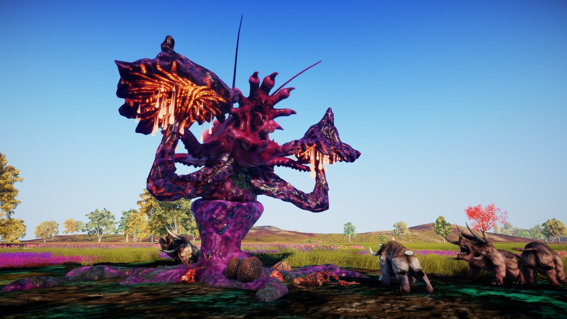 Animallica screenshot 23
