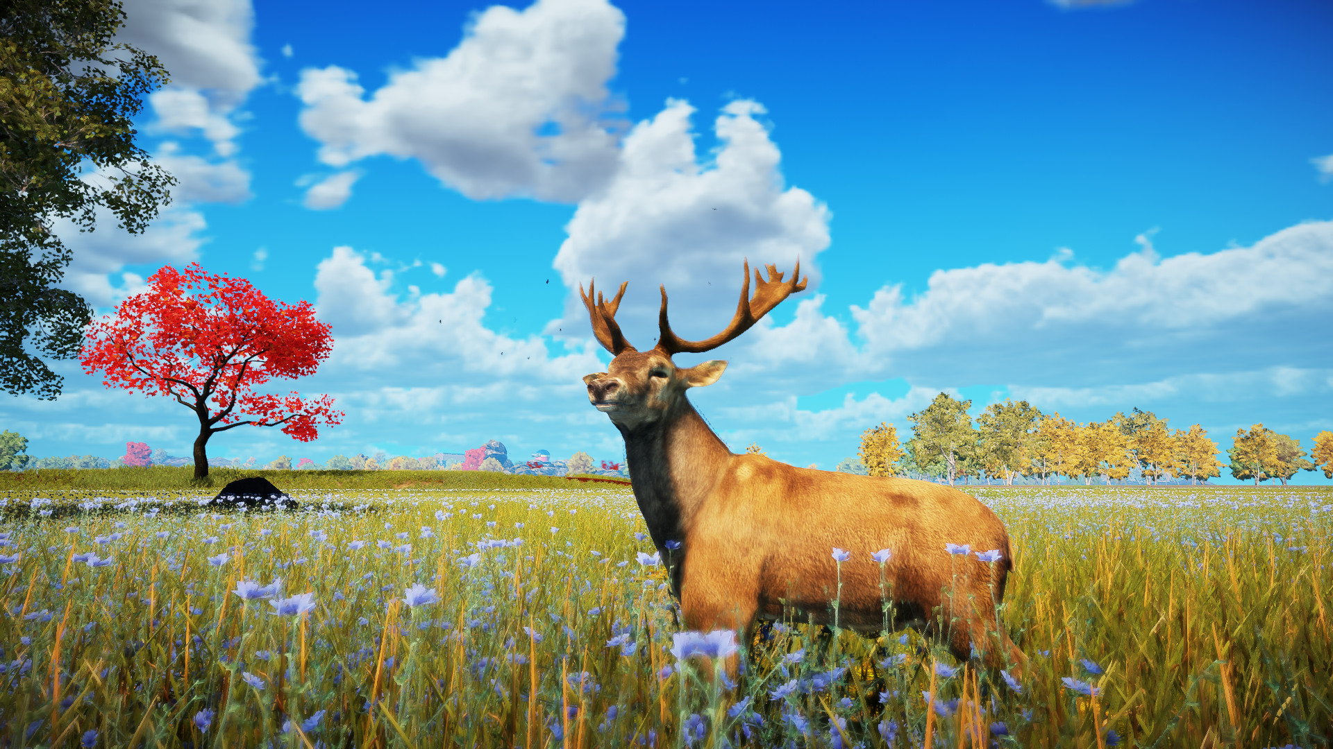 Animallica screenshot 10
