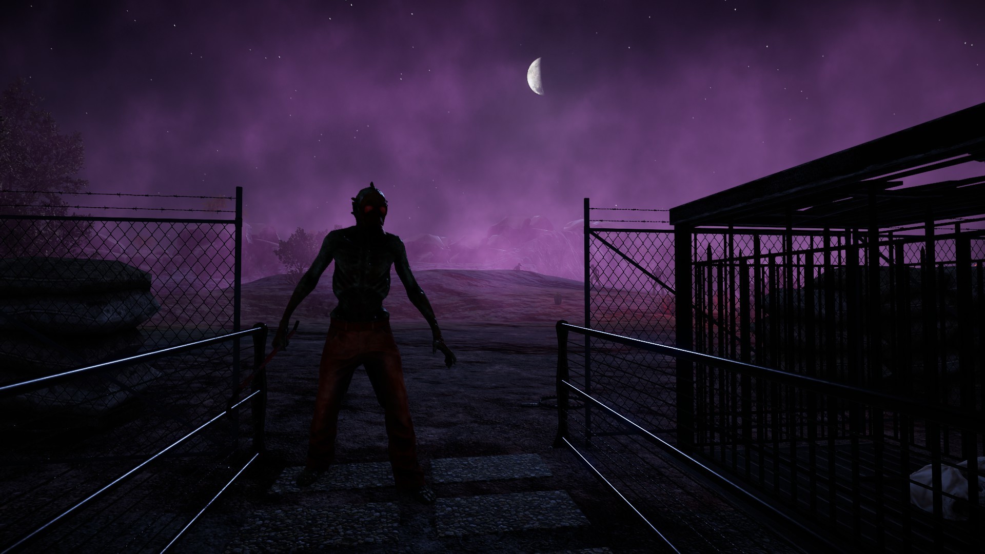 Animallica screenshot 20