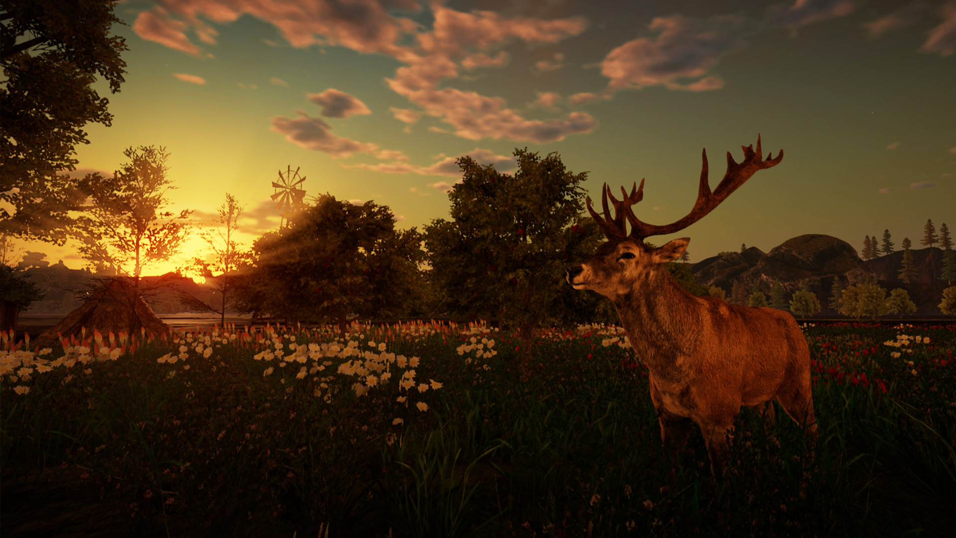Animallica screenshot 32