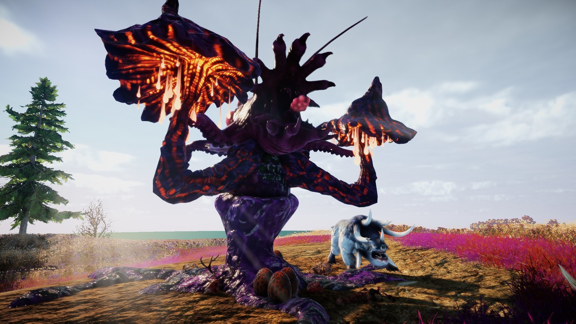 Animallica screenshot 19