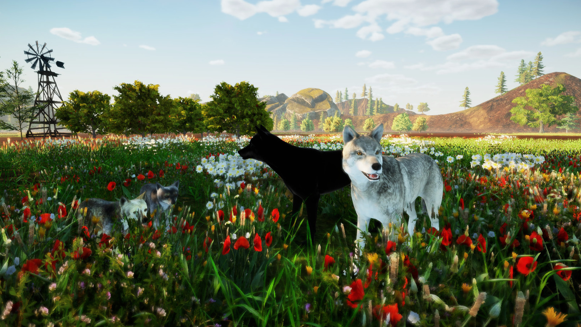 Animallica screenshot 6