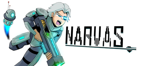 Narvas — Steam header