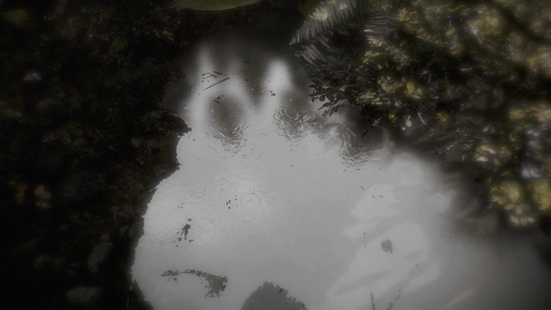 Reflecting Fate screenshot 12