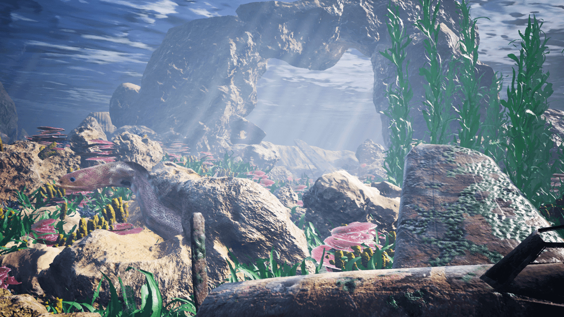 Relax Walk VR screenshot 7