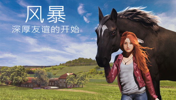 风暴：深厚友谊的开始