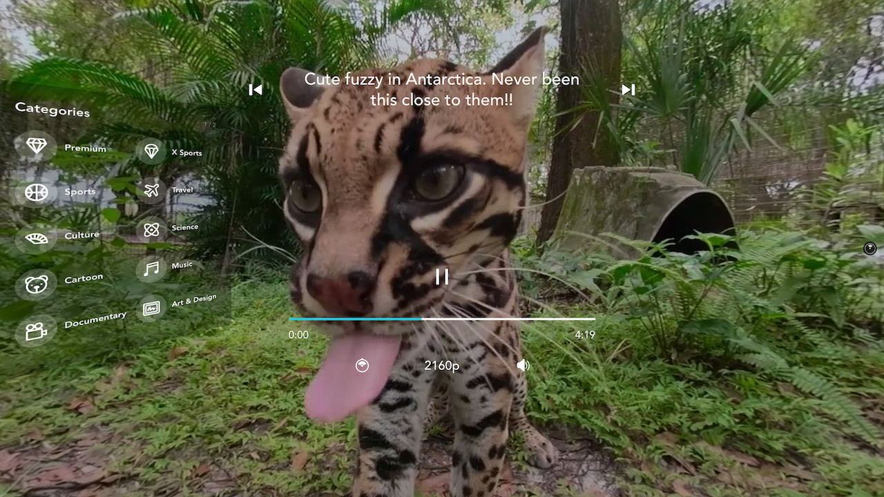 VeeR VR screenshot 5