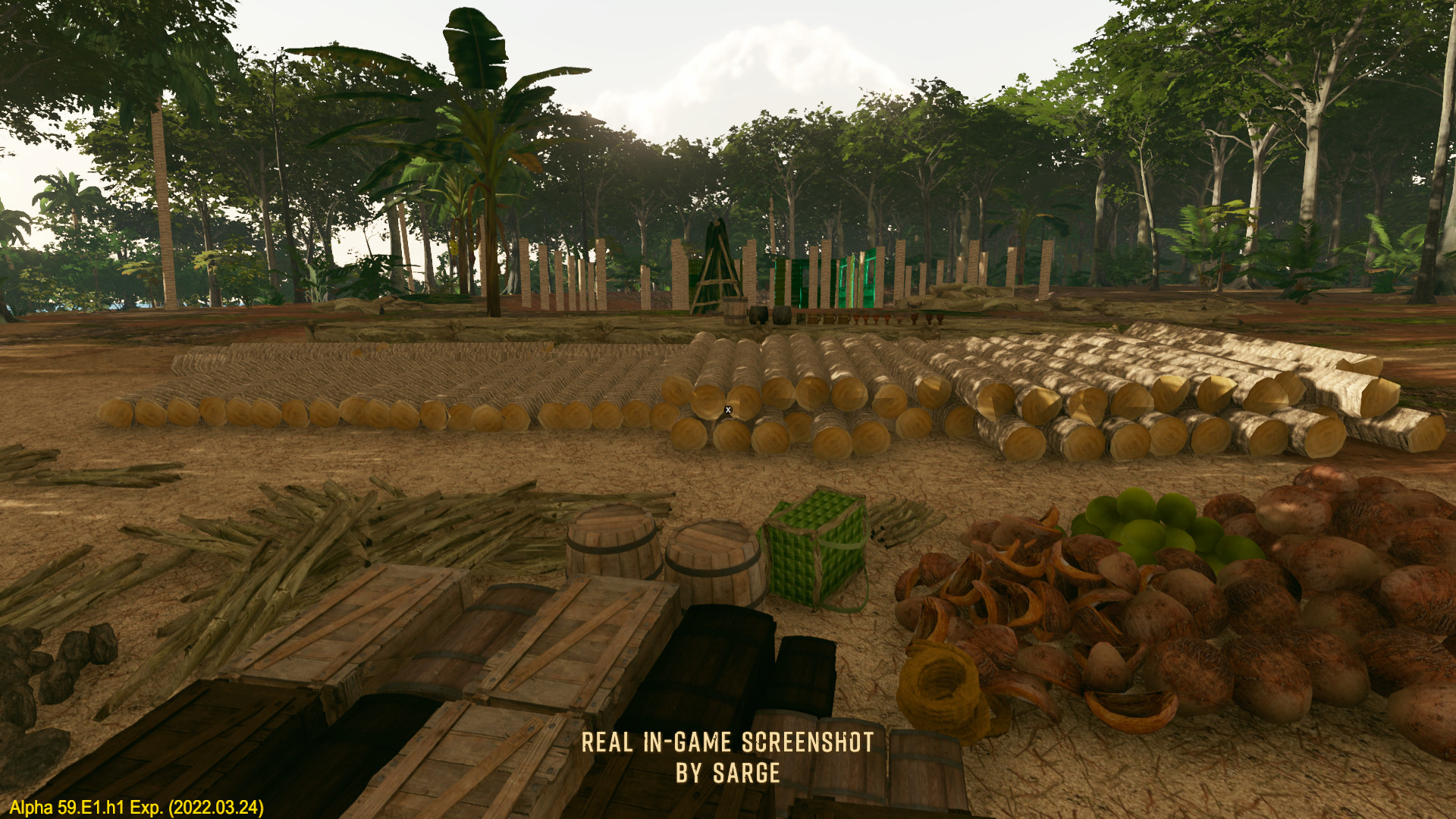 Escape The Pacific screenshot 15