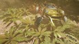 Screenshot 143
