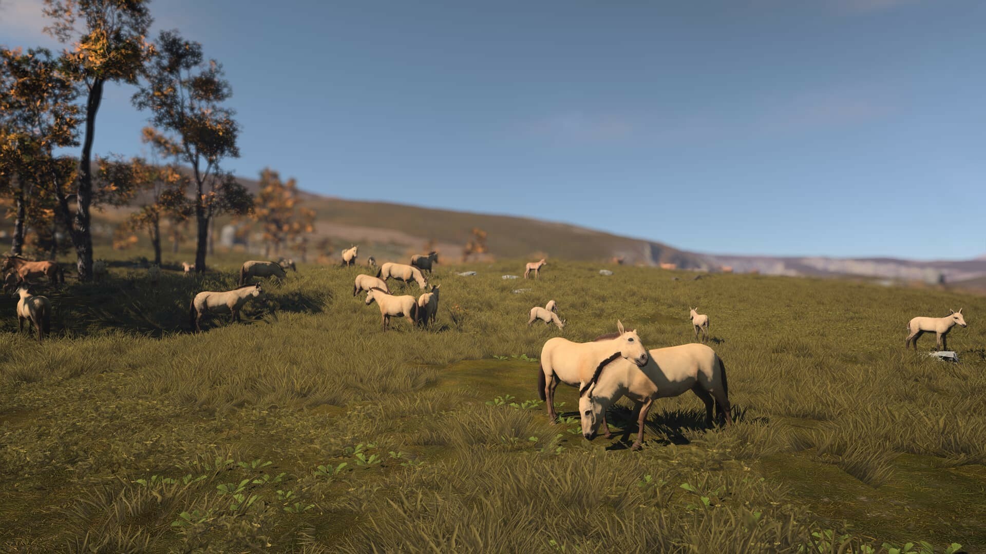 古城/Ancient Cities -(Build 20175254)