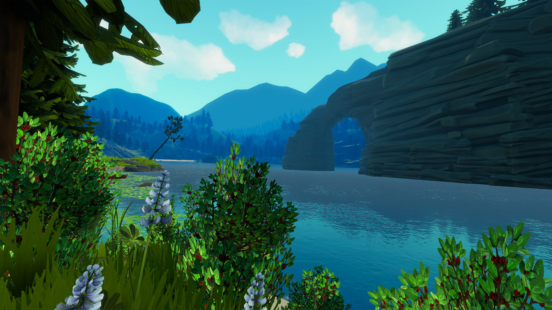 Catch & Release screenshot 14