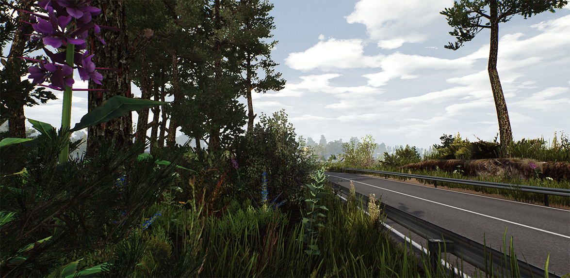 Fernbus Simulator - Usedom screenshot 1