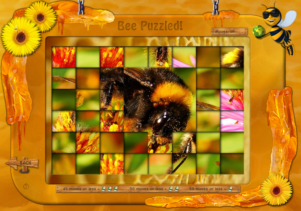 Bee Aware! 2.0 screenshot 9