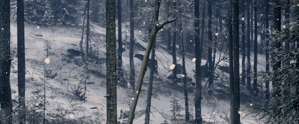 TheHunter: Call of the Wild - Medved-Taiga thumbnail