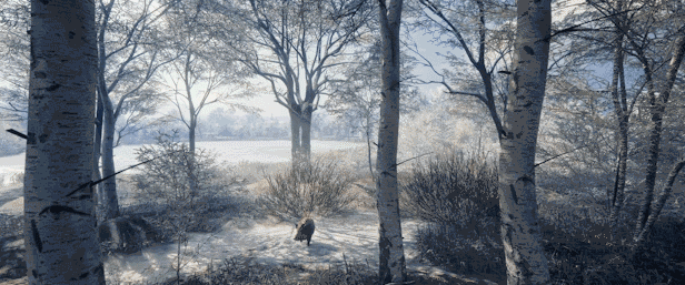 TheHunter: Call of the Wild - Medved-Taiga thumbnail