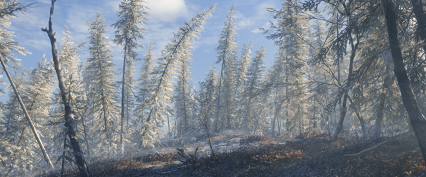 TheHunter: Call of the Wild - Medved-Taiga thumbnail