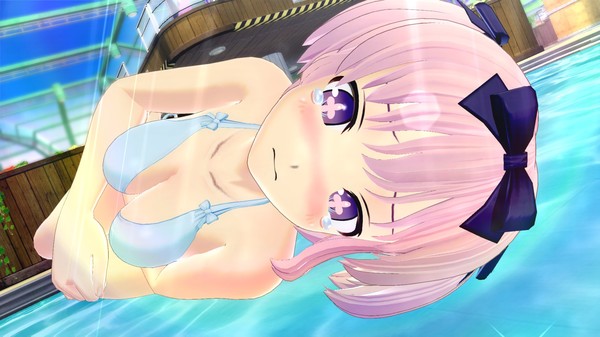 图片[13]-【PC】闪乱神乐-沙滩戏水/閃乱カグラ PEACH BEACH SPLASH/SENRAN KAGURA Peach Beach Splash Ver1.08【大型3D/爆衣/射击/软色情】官方中文+MOD整合版+全DLC+季票+整合魔改版【21.6G】-豫语游戏库