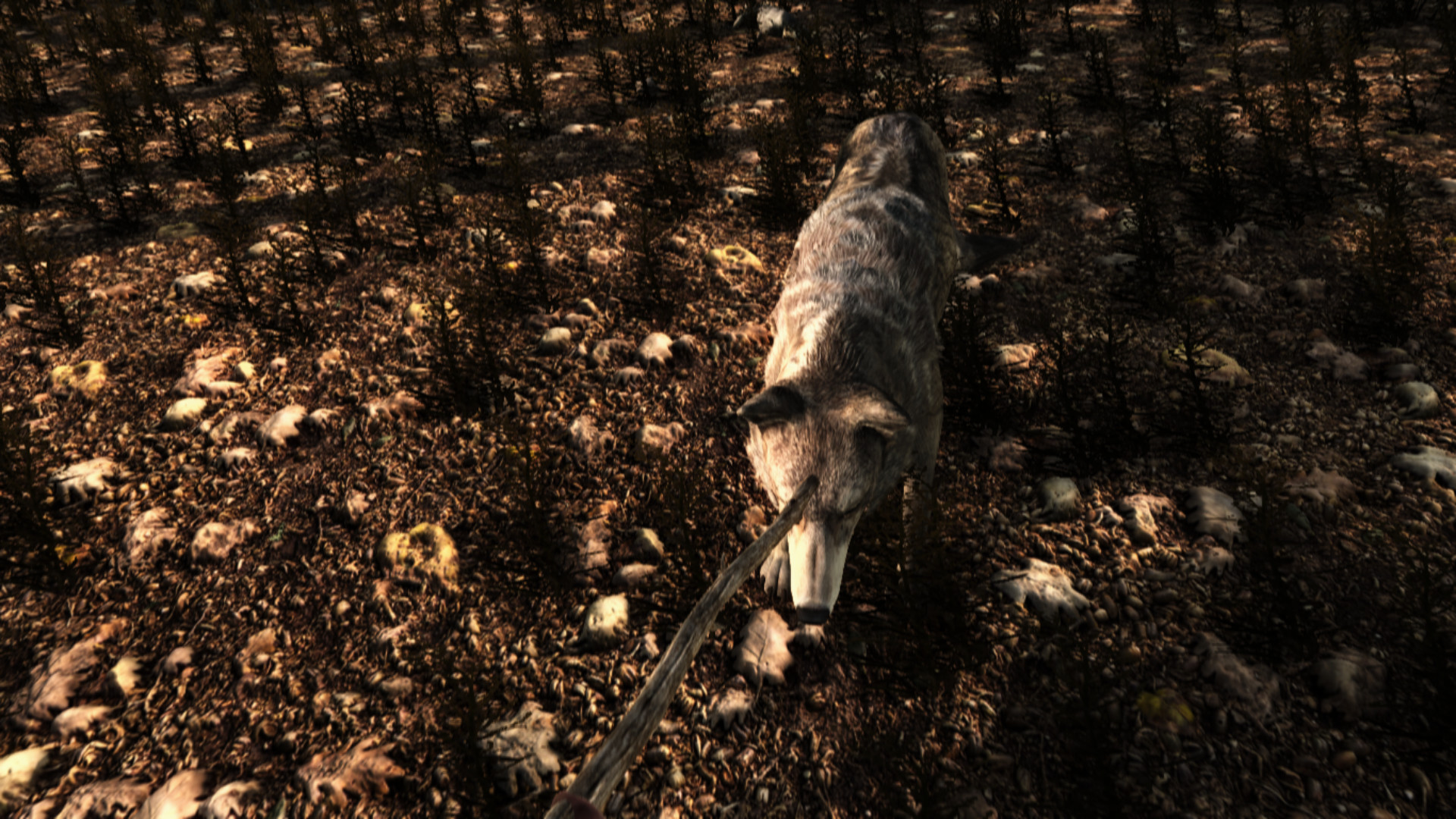 Lost Shipwreck screenshot 7