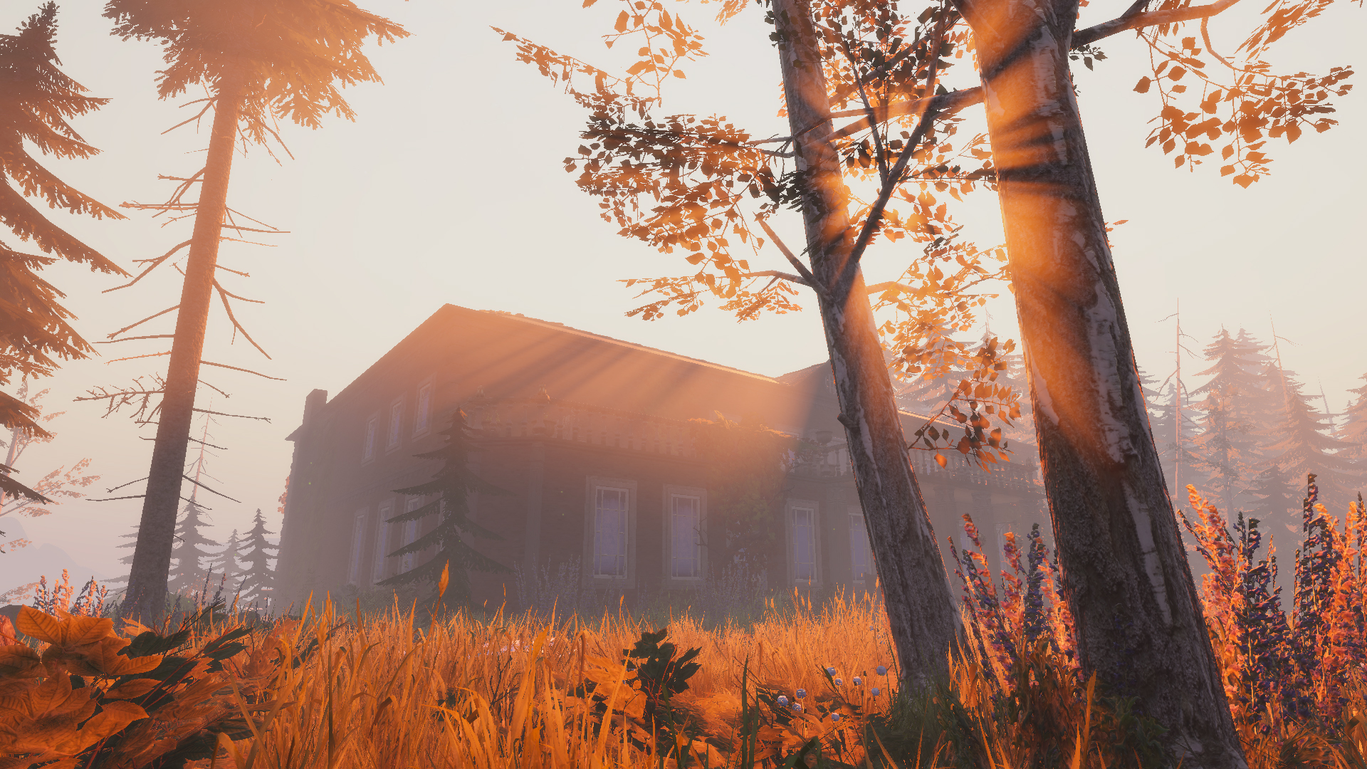 Lake Ridden screenshot 7