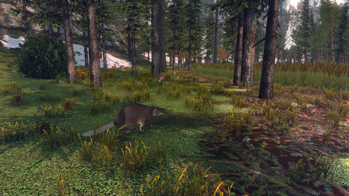 Unsettled screenshot 14