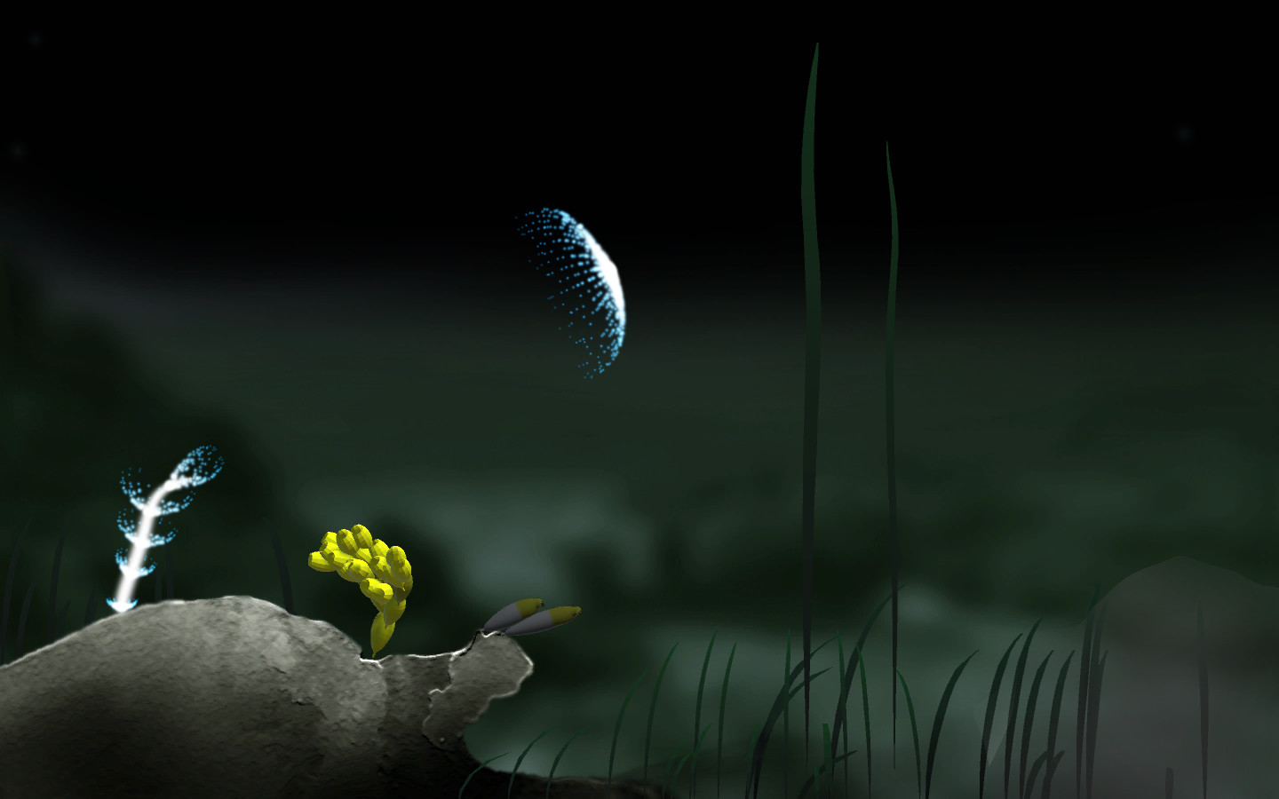 Jellyfish screenshot 4